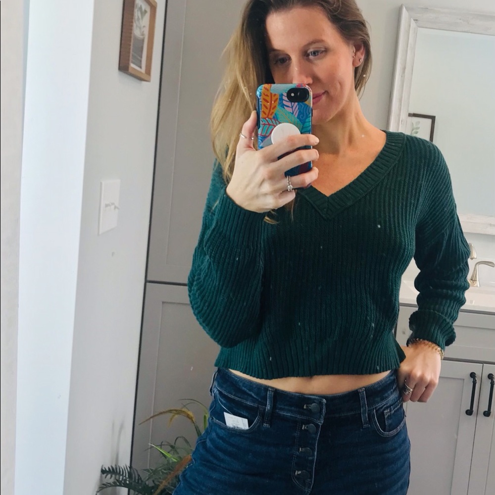 Wild Fable Crop Sweater